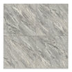 Paloma Grey Polished Floor Tile