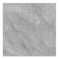 Paloma Silver Polished Floor Tile