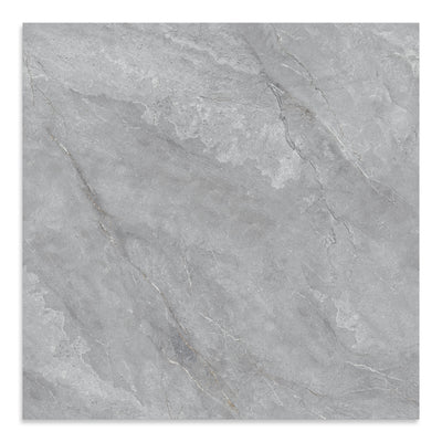 Paloma Silver Polished Floor Tile