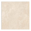 Landscape Beige Floor Tile