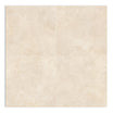 Landscape Beige Floor Tile