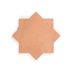 Riad Star Cotto Tile