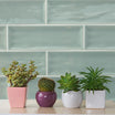 Ripples Green Wall Tile