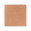 Starburst Cotto Terrazzo Tile