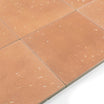 Starburst Cotto Terrazzo Tile