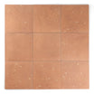 Starburst Cotto Terrazzo Tile