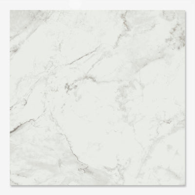 Sofia White Matt Tile