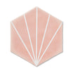 Palm Springs Pink Hexagon Tile